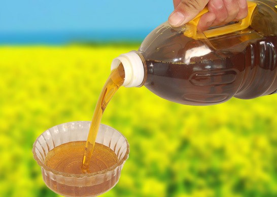 Rapeseed Oil Pressing Line