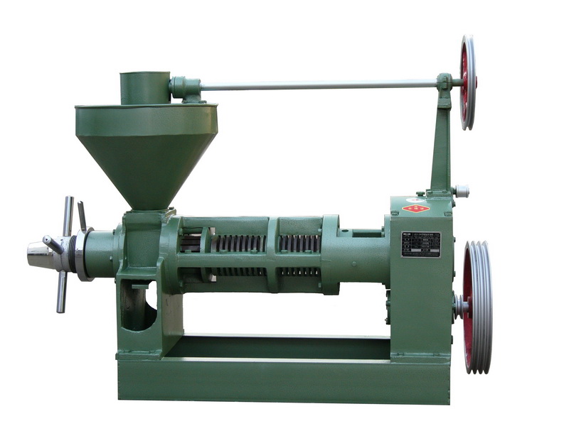 Linseed oil press