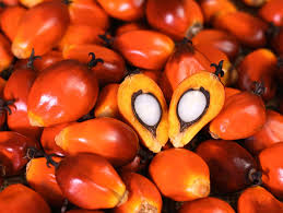 Palm Oil Pressing Line